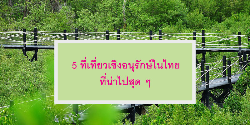 5 ที่เที่ยวเชิงอนุรักษ์ในไทย ที่น่าไปสุด ๆ